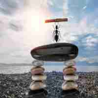 ai-write写‌作﻿工​具​